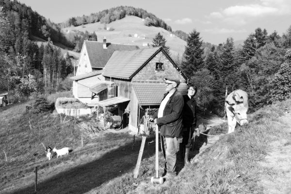 Bauernsaiten